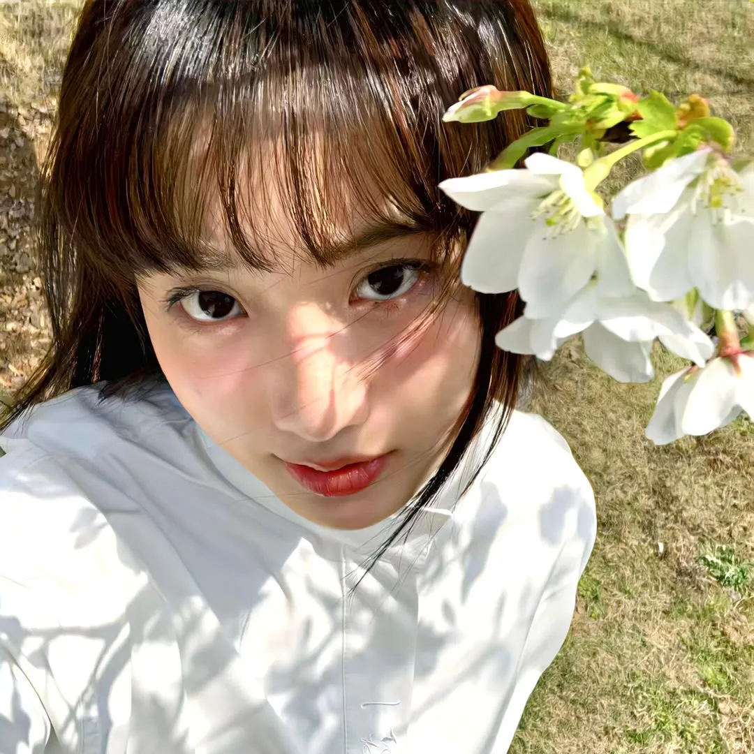 女神异闻录 圣洁之魂